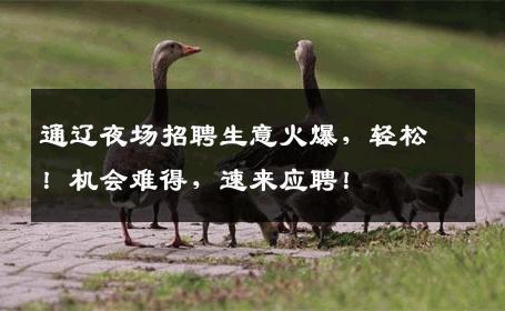 通辽夜场招聘生意火爆，轻松！机会难得，速来应聘！