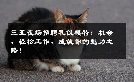 三亚夜场招聘礼仪模特：机会，轻松工作，成就你的魅力之路！