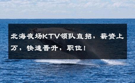 北海夜场KTV领队直招，薪资上万，快速晋升，职位！
