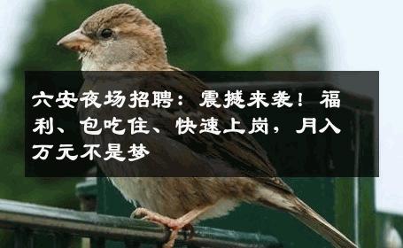 六安夜场招聘：震撼来袭！福利、包吃住、快速上岗，月入万元不是梦