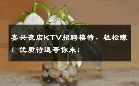 嘉兴夜店KTV招聘模特，轻松赚！优质待遇等你来！