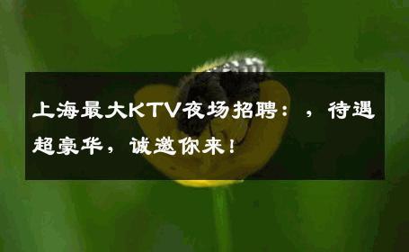 上海最大KTV夜场招聘：，待遇超豪华，诚邀你来！