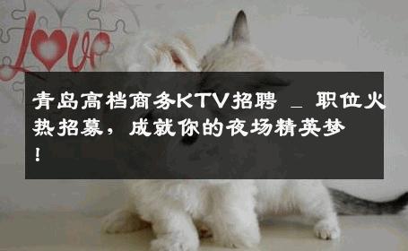 青岛高档商务KTV招聘 _ 职位火热招募，成就你的夜场精英梦！