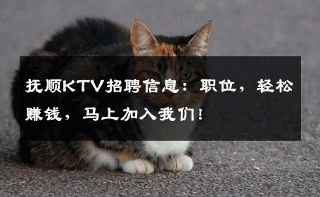 抚顺KTV招聘信息：职位，轻松赚钱，马上加入我们！