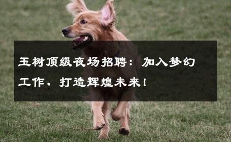 玉树顶级夜场招聘：加入梦幻工作，打造辉煌未来！