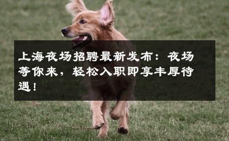 上海夜场招聘最新发布：夜场等你来，轻松入职即享丰厚待遇！