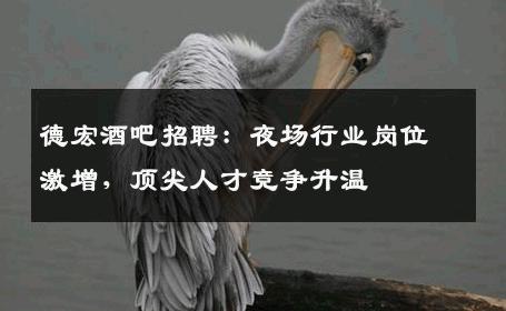 德宏酒吧招聘：夜场行业岗位激增，顶尖人才竞争升温