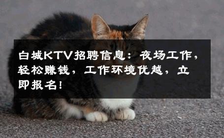 白城KTV招聘信息：夜场工作，轻松赚钱，工作环境优越，立即报名！