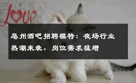亳州酒吧招聘模特：夜场行业热潮来袭，岗位需求猛增