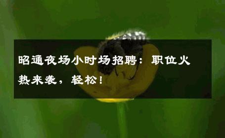 昭通夜场小时场招聘：职位火热来袭，轻松！