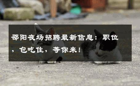 邵阳夜场招聘最新信息：职位，包吃住，等你来！