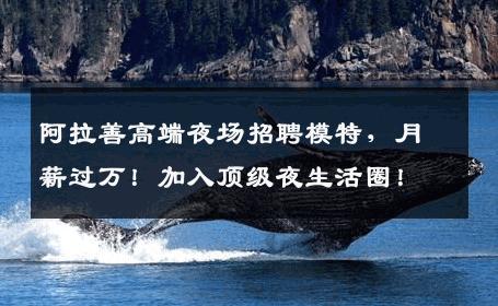 阿拉善高端夜场招聘模特，月薪过万！加入顶级夜生活圈！