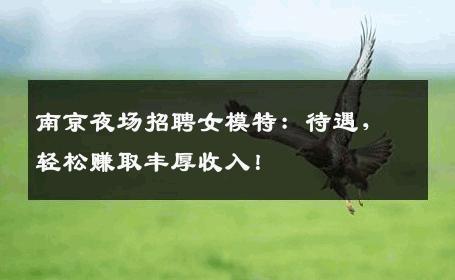 南京夜场招聘女模特：待遇，轻松赚取丰厚收入！