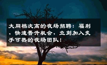 大同档次高的夜场招聘：福利，快速晋升机会，立刻加入炙手可热的夜场团队！