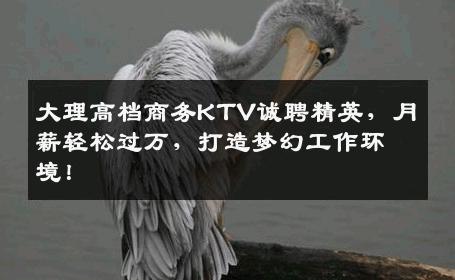 大理高档商务KTV诚聘精英，月薪轻松过万，打造梦幻工作环境！