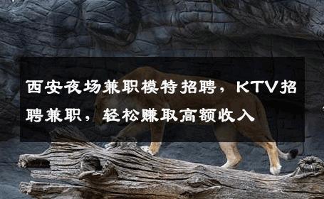 西安夜场兼职模特招聘，KTV招聘兼职，轻松赚取高额收入