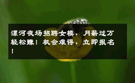 漯河夜场招聘女模，月薪过万轻松赚！机会难得，立即报名！
