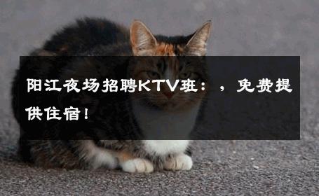 阳江夜场招聘KTV班：，免费提供住宿！