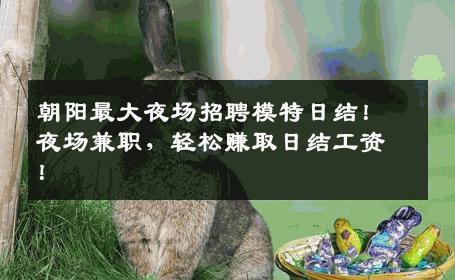 朝阳最大夜场招聘模特日结！夜场兼职，轻松赚取日结工资！