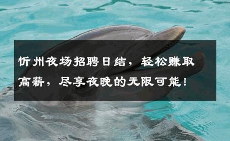 忻州夜场招聘日结，轻松赚取高薪，尽享夜晚的无限可能！