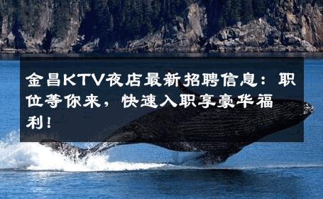 金昌KTV夜店最新招聘信息：职位等你来，快速入职享豪华福利！