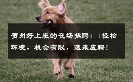 贺州好上班的夜场招聘：+轻松环境，机会有限，速来应聘！