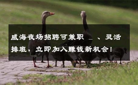 威海夜场招聘可兼职 _ 、灵活排班，立即加入赚钱新机会！