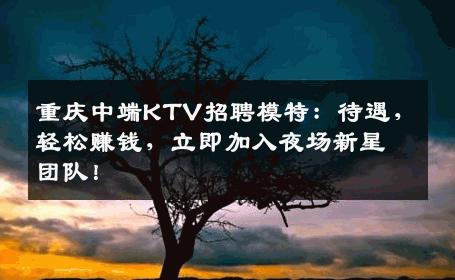 重庆中端KTV招聘模特：待遇，轻松赚钱，立即加入夜场新星团队！
