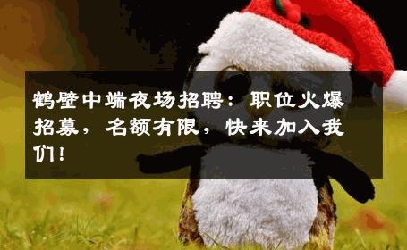 鹤壁中端夜场招聘：职位火爆招募，名额有限，快来加入我们！