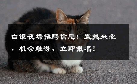 白银夜场招聘信息：震撼来袭，机会难得，立即报名！