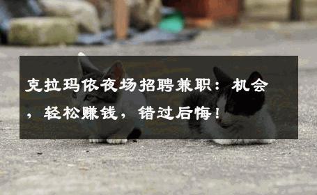 克拉玛依夜场招聘兼职：机会，轻松赚钱，错过后悔！