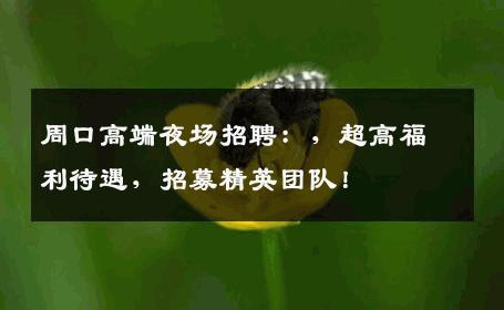 周口高端夜场招聘：，超高福利待遇，招募精英团队！