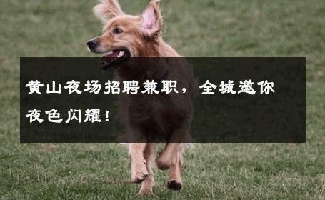 黄山夜场招聘兼职，全城邀你夜色闪耀！