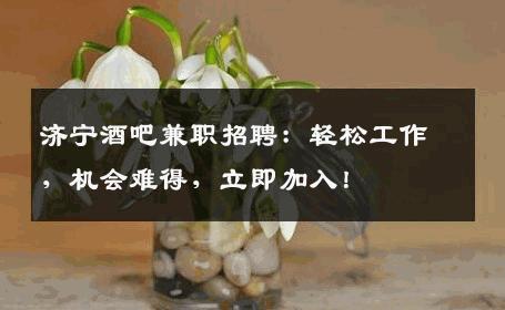 济宁酒吧兼职招聘：轻松工作，机会难得，立即加入！