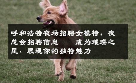 呼和浩特夜场招聘女模特，夜总会招聘信息——成为璀璨之星，展现你的独特魅力