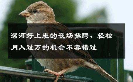 漯河好上班的夜场招聘，轻松月入过万的机会不容错过