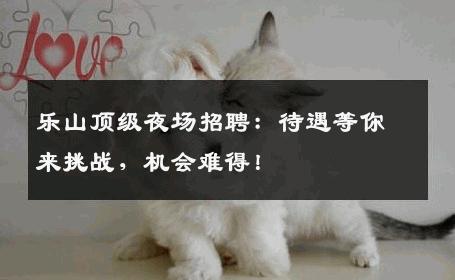 乐山顶级夜场招聘：待遇等你来挑战，机会难得！