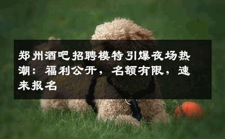 郑州酒吧招聘模特引爆夜场热潮：福利公开，名额有限，速来报名