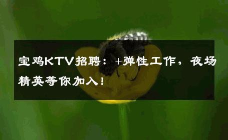 宝鸡KTV招聘：+弹性工作，夜场精英等你加入！
