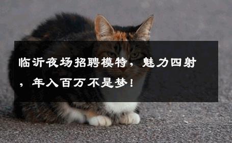 临沂夜场招聘模特，魅力四射，年入百万不是梦！