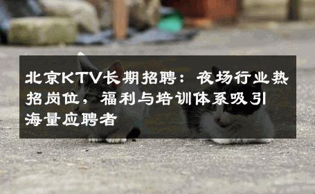 北京KTV长期招聘：夜场行业热招岗位，福利与培训体系吸引海量应聘者