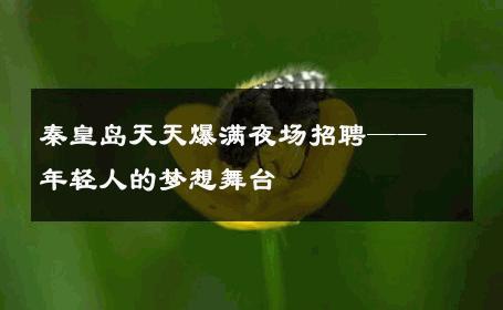 秦皇岛天天爆满夜场招聘——年轻人的梦想舞台