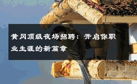 黄冈顶级夜场招聘：开启你职业生涯的新篇章