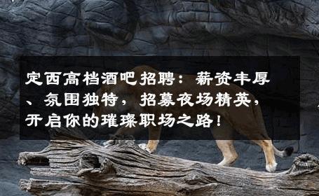 定西高档酒吧招聘：薪资丰厚、氛围独特，招募夜场精英，开启你的璀璨职场之路！