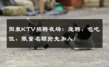 阳泉KTV招聘夜场：急聘，包吃住，限量名额抢先加入！