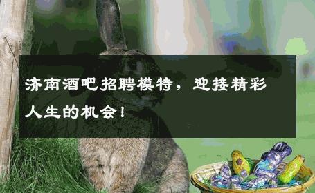 济南酒吧招聘模特，迎接精彩人生的机会！
