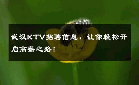 武汉KTV招聘信息，让你轻松开启高薪之路！