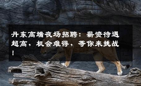 丹东高端夜场招聘：薪资待遇超高，机会难得，等你来挑战！