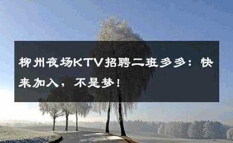 柳州夜场KTV招聘二班多多：快来加入，不是梦！