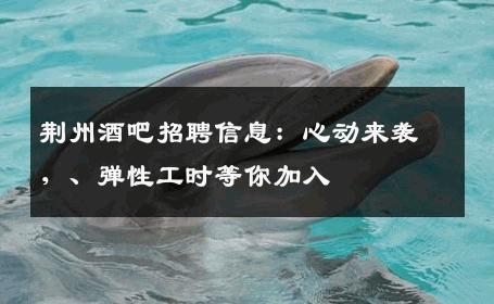 荆州酒吧招聘信息：心动来袭，、弹性工时等你加入